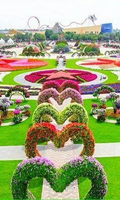 miracle garden dubai tour dmc in dubai